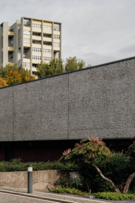 adrian assefa adam talmon