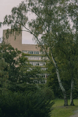 adrian assefa adam talmon