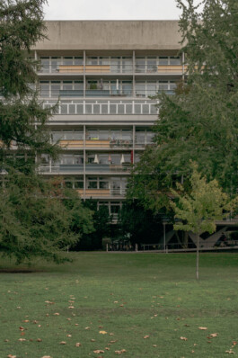 adrian assefa adam talmon