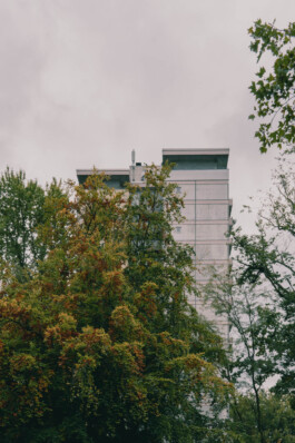 adrian assefa adam talmon