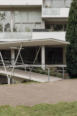 adrian assefa adam talmon