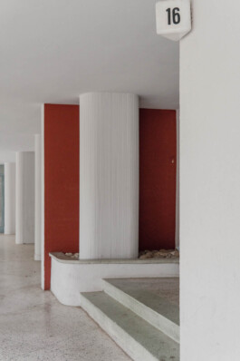 adrian assefa adam talmon