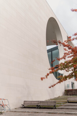 adrian assefa adam talmon