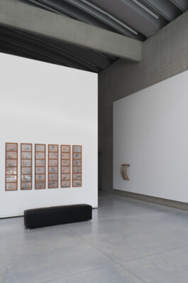 adrian assefa adam talmon