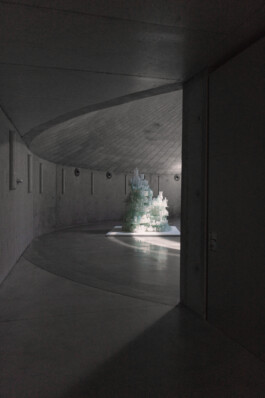 adrian assefa adam talmon