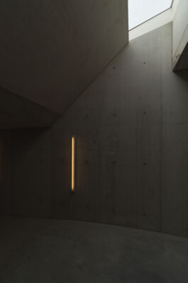 adrian assefa adam talmon