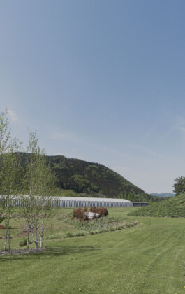 adrian assefa adam talmon