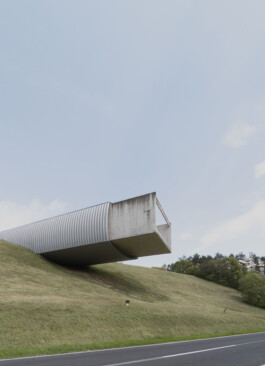 adrian assefa adam talmon