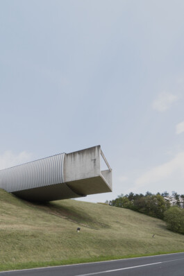 adrian assefa adam talmon