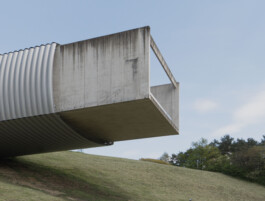 adrian assefa adam talmon