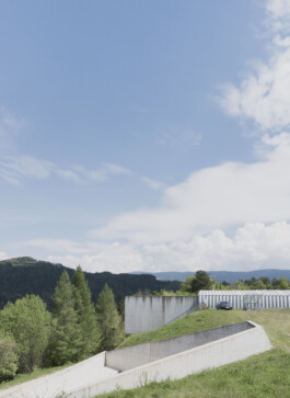 adrian assefa adam talmon