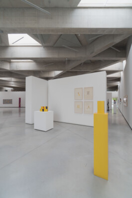 adrian assefa adam talmon