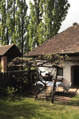 adrian assefa adam talmon