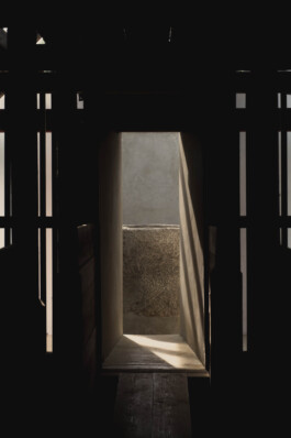 adrian assefa adam talmon