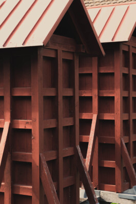 adrian assefa adam talmon