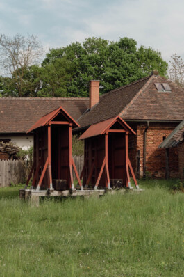 adrian assefa adam talmon