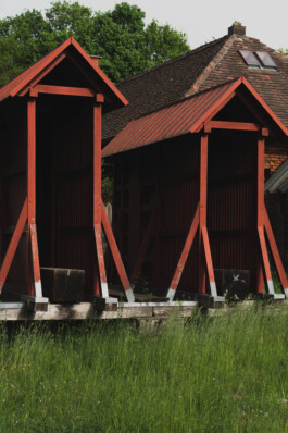 adrian assefa adam talmon