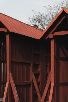 adrian assefa adam talmon