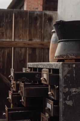 adrian assefa adam talmon