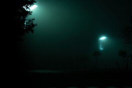 adrian assefa adam talmon