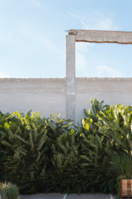 adrian assefa adam talmon