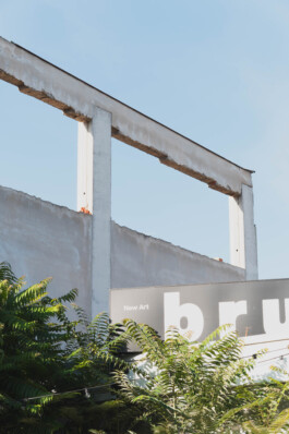 adrian assefa adam talmon