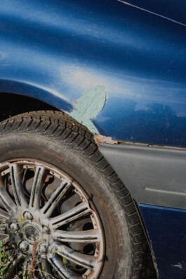 adrian assefa adam talmon