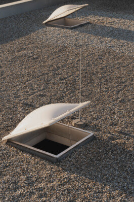 adrian assefa adam talmon