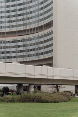 adrian assefa adam talmon