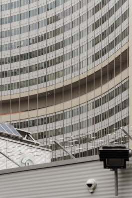 adrian assefa adam talmon