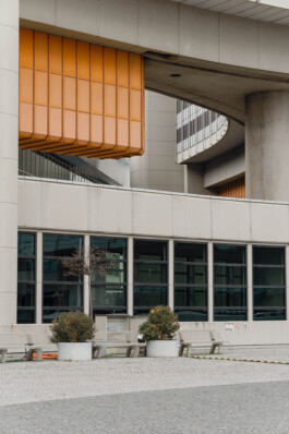 adrian assefa adam talmon