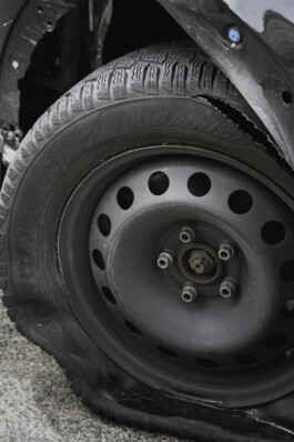 adrian assefa adam talmon