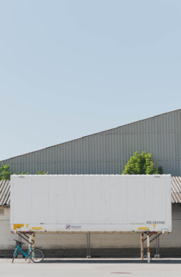 adrian assefa adam talmon