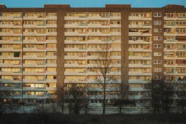 adrian assefa adam talmon