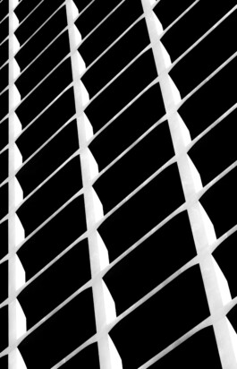 adrian assefa adam talmon