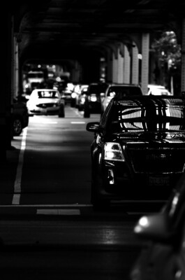 adrian assefa adam talmon