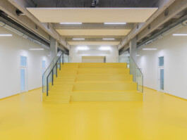 adrian assefa adam talmon