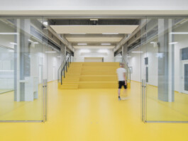 adrian assefa adam talmon