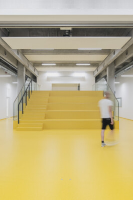 adrian assefa adam talmon