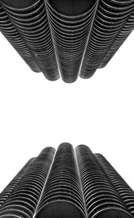 adrian assefa adam talmon