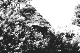 adrian assefa adam talmon