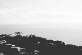 adrian assefa adam talmon