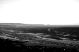 adrian assefa adam talmon