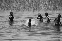 adrian assefa adam talmon