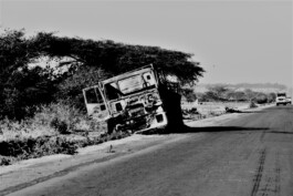 adrian assefa adam talmon