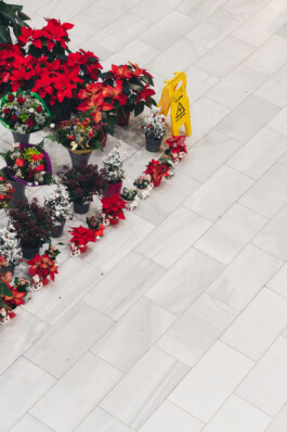 adrian assefa adam talmon