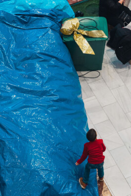 adrian assefa adam talmon