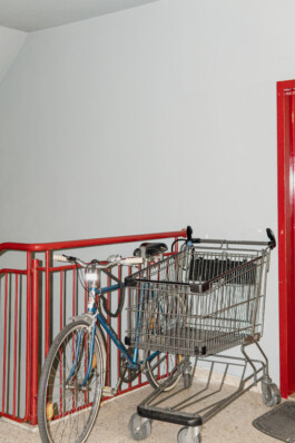 adrian assefa adam talmon