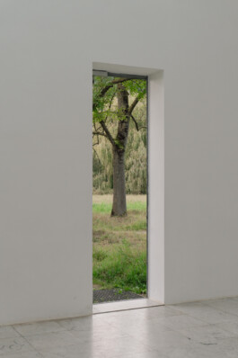 adrian assefa adam talmon