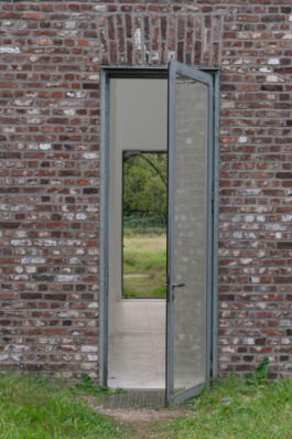 adrian assefa adam talmon